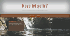 Desktop Screenshot of neyeiyigelir.com